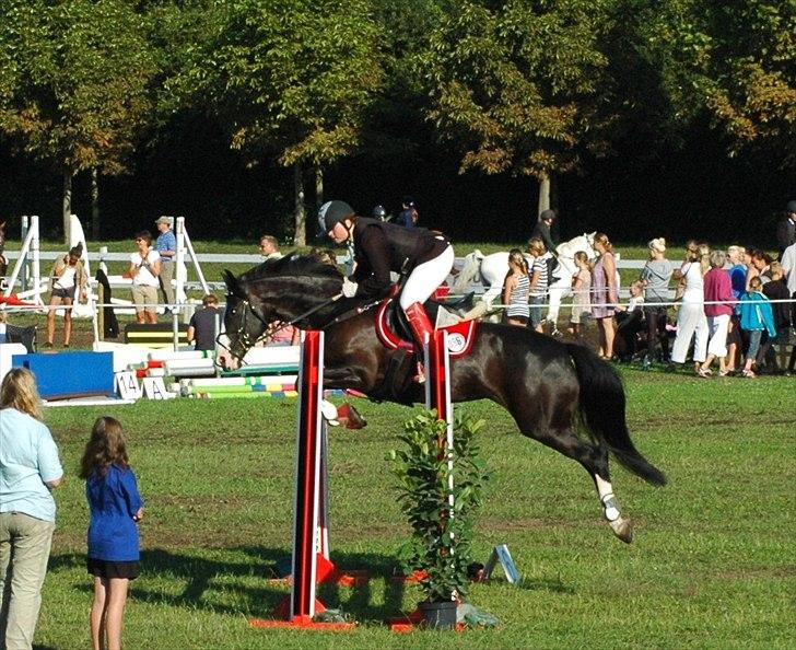 Holstener Prior's Maluta *SOULMATE* R.I.P 15/09/2011 - Fordi eg elsker dig af hele mit hjerte <3 billede 16