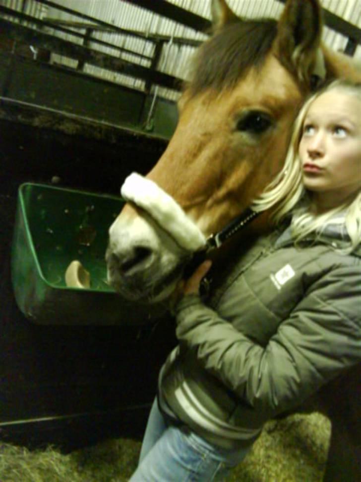 Anden særlig race Bleiki ii; <3  billede 10