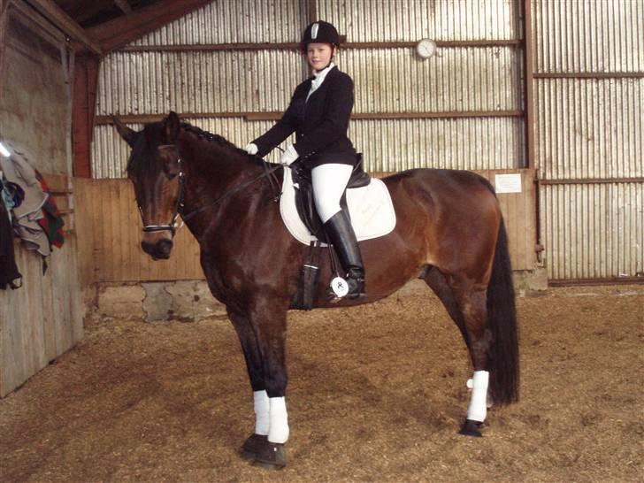 Anden særlig race Olympia (max) billede 1