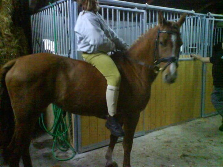 Anden særlig race Ilona - hehe (: billede 14