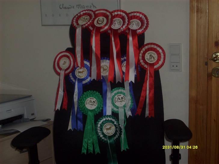 DSP sherrydan solgt :( - jeg elskede dig virkelig såeh højt! og du var en drømmepony billede 16