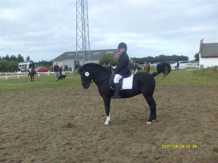 DSP sherrydan solgt :( - sidste stævne! :´( i miss you , men to røde rosetter hirtshals billede 17