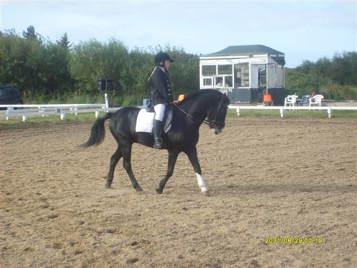 DSP sherrydan solgt :( - rider lc2. billede 18