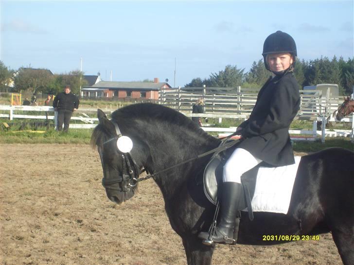 DSP sherrydan solgt :( - jeyy vi øver lige inden vi skal ride billede 19