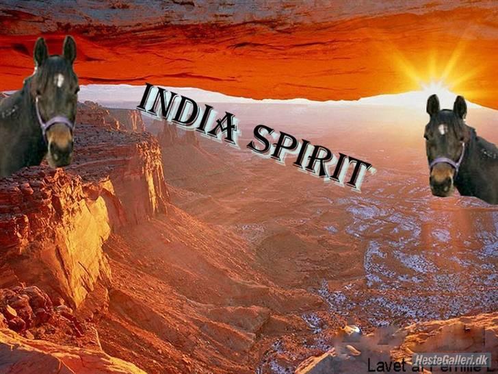 Traver India Spirit - Ved ikke hvem som lavede denne til mig ! billede 17