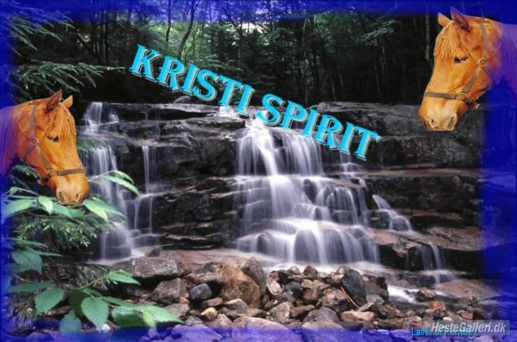 Traver Kristi Spirit - Lavet af Pernille L billede 7