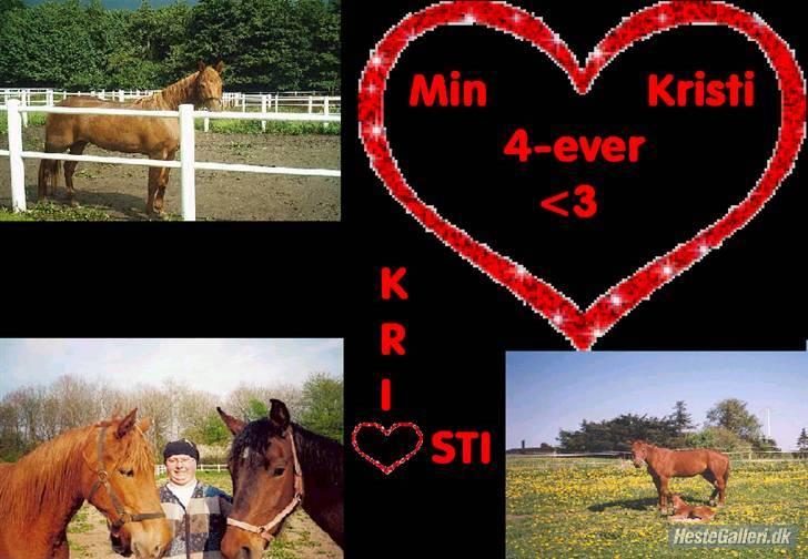 Traver Kristi Spirit - Lavet af Marie P billede 8