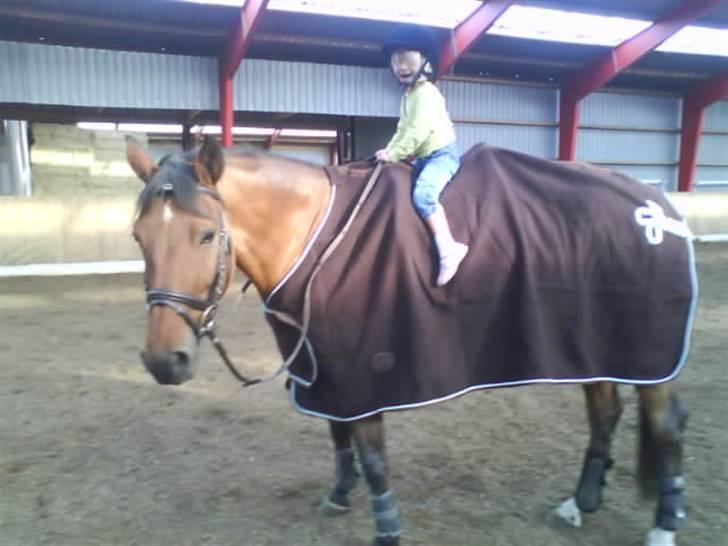 Dansk Varmblod Aurora -min prinsesse- tidligere hest - Min lillesøster skulle lige prøve Aurora. hun skal nok ende med at blive en stor dressur stjerne;-) billede 1