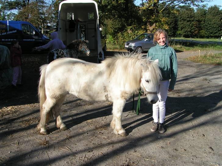 Anden særlig race aqua lene *Gamle part* R.I.P - vi skal til spt  billede 1