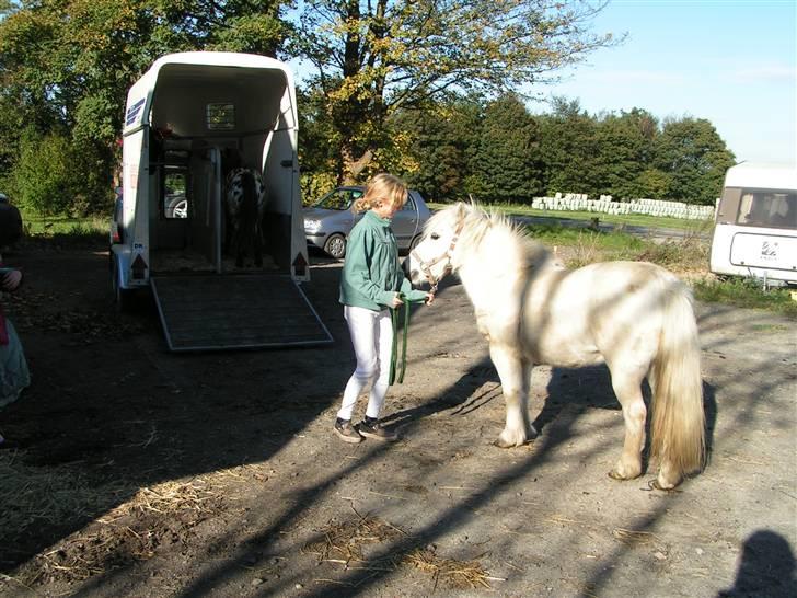 Anden særlig race aqua lene *Gamle part* R.I.P - vi går op  billede 2