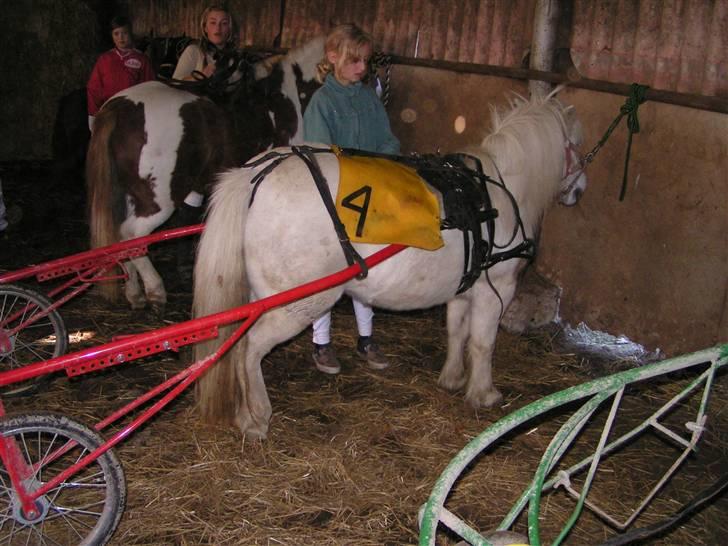 Anden særlig race aqua lene *Gamle part* R.I.P - vi venter på vi skal ud og kører billede 3