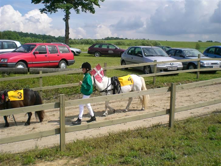 Anden særlig race aqua lene *Gamle part* R.I.P billede 4