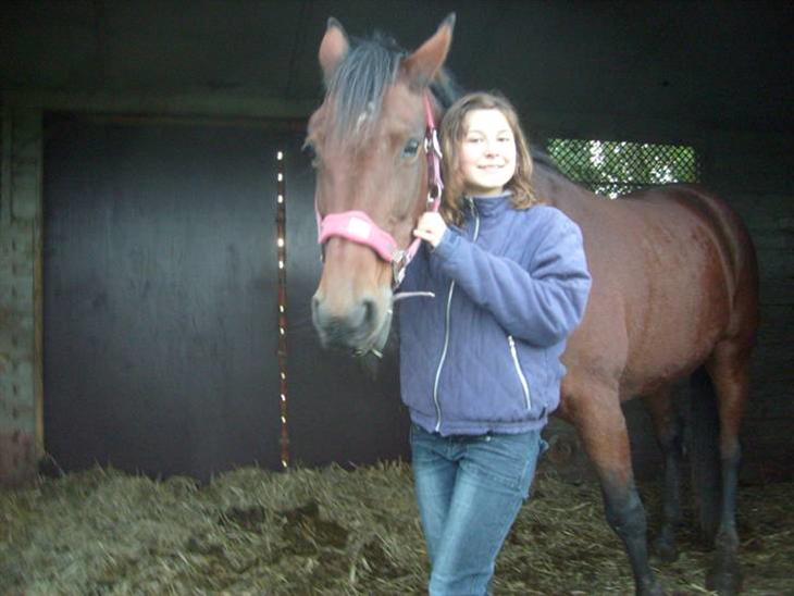 {{currentPhoto.altText}} billede {{currentPhoto.number}}