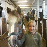 Anden særlig race Mini Max <3Rideskole<3