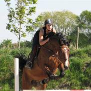 Holstener Ruby Tuesday