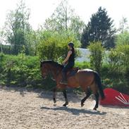 Holstener Ruby Tuesday