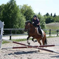 New Forest Fire Fod Joanna-solg t:-(