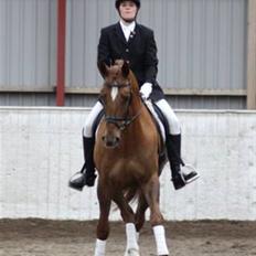 Anden særlig race Thor (låne hest)