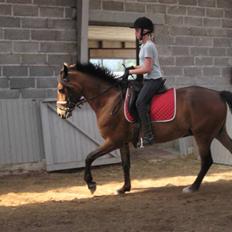 DSP Bay Runner (gammel part)=