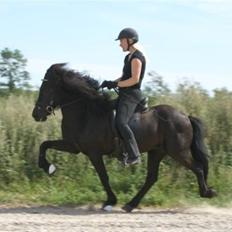 Islænder Breki fra Kroki