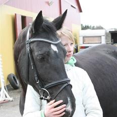 Oldenborg Domino Hedegaard 