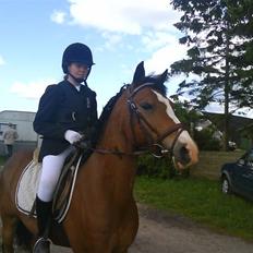 DSP Cavalie's Spoky Joker