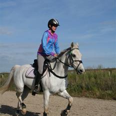 Anden særlig race Chagall