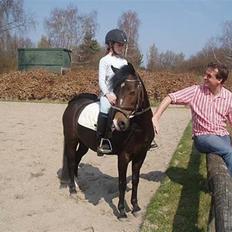 Welsh Mountain (sec A) Lyngvejens Rosita *SOLGT*