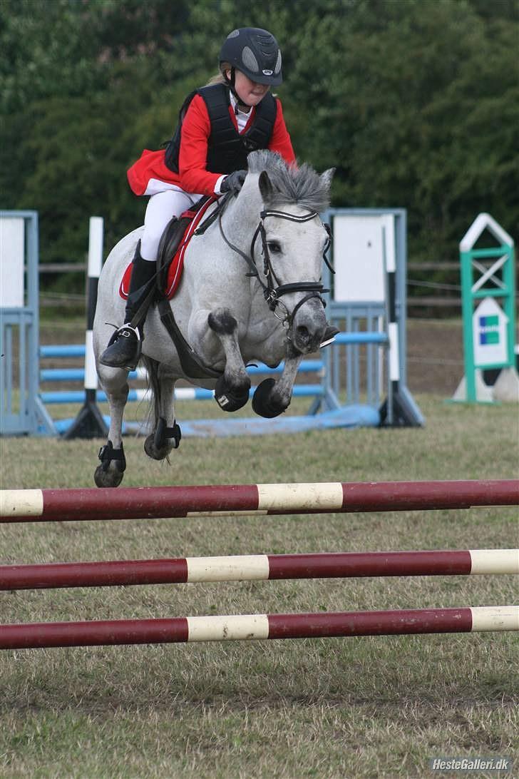 Anden særlig race PRIK. - ponyuge - en forfærtelig uge s´; billede 6