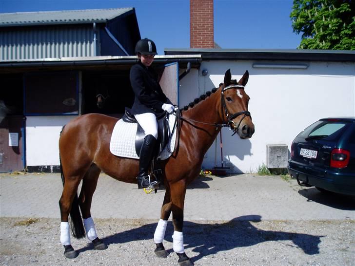 New Forest Fire Fod Joanna-solg t:-( billede 4