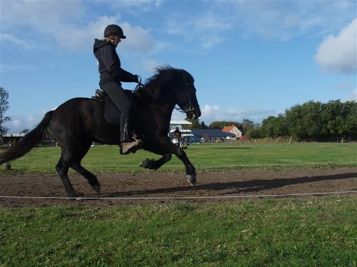 Islænder Dís fra Katulabo - Boble stævne´08 .. Dís i galop ..rider tina (min mor) .. foto: Sissel Bordlund Jensen billede 7