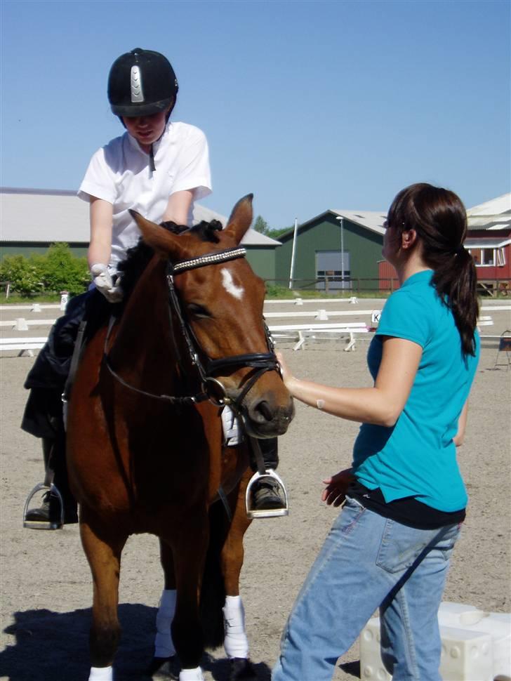 New Forest Fire Fod Joanna-solg t:-( billede 5