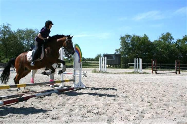 New Forest Fire Fod Joanna-solg t:-( billede 8