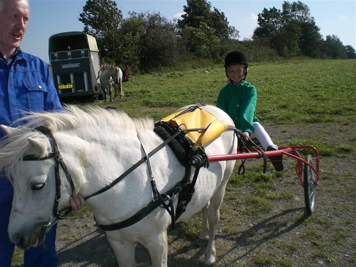 Anden særlig race aqua lene *Gamle part* R.I.P billede 6