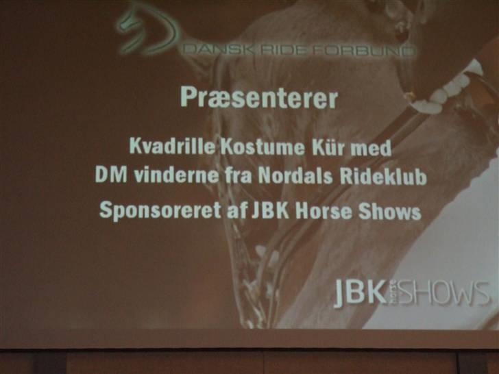 Anden særlig race Rex billede 12