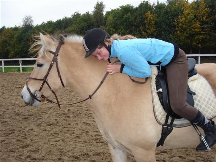 Fjordhest Santos - Jeg elsker dig Santos!!!!!!!!!!!!!!!! billede 14