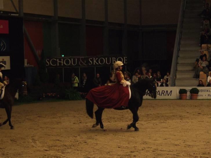 Anden særlig race Rex billede 13