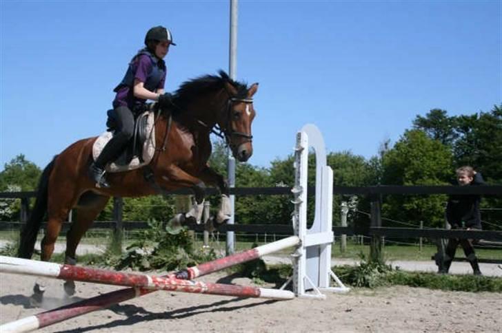 New Forest Fire Fod Joanna-solg t:-( billede 10