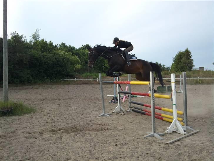 Oldenborg O'malley  - o´malley og jeg springer 150  billede 6