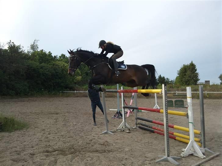 Oldenborg O'malley  - o´malley og jeg springer 160. Han sprang det fejlfrit i første forsøg billede 8