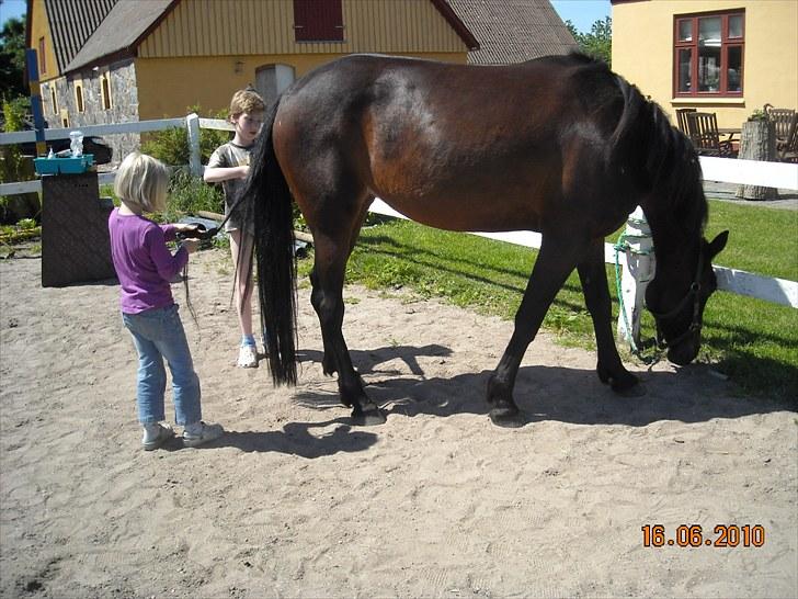 Traver Jettes Pride - Daniel og Camilla hygger om Jette billede 2