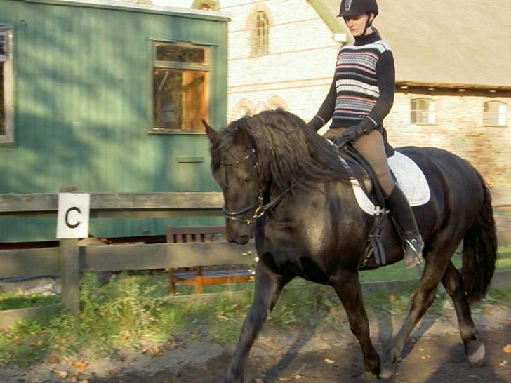 Frieser Maike Rozalien J - Anden gang jeg rider hende billede 6