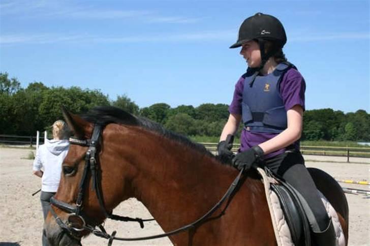 New Forest Fire Fod Joanna-solg t:-( billede 14