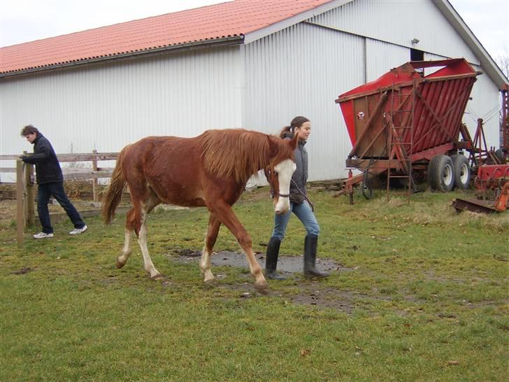 Frederiksborg Engkildegaards Argon  - Et kamera hvad? Det er da en sjov måde den vrinsker på...  billede 17