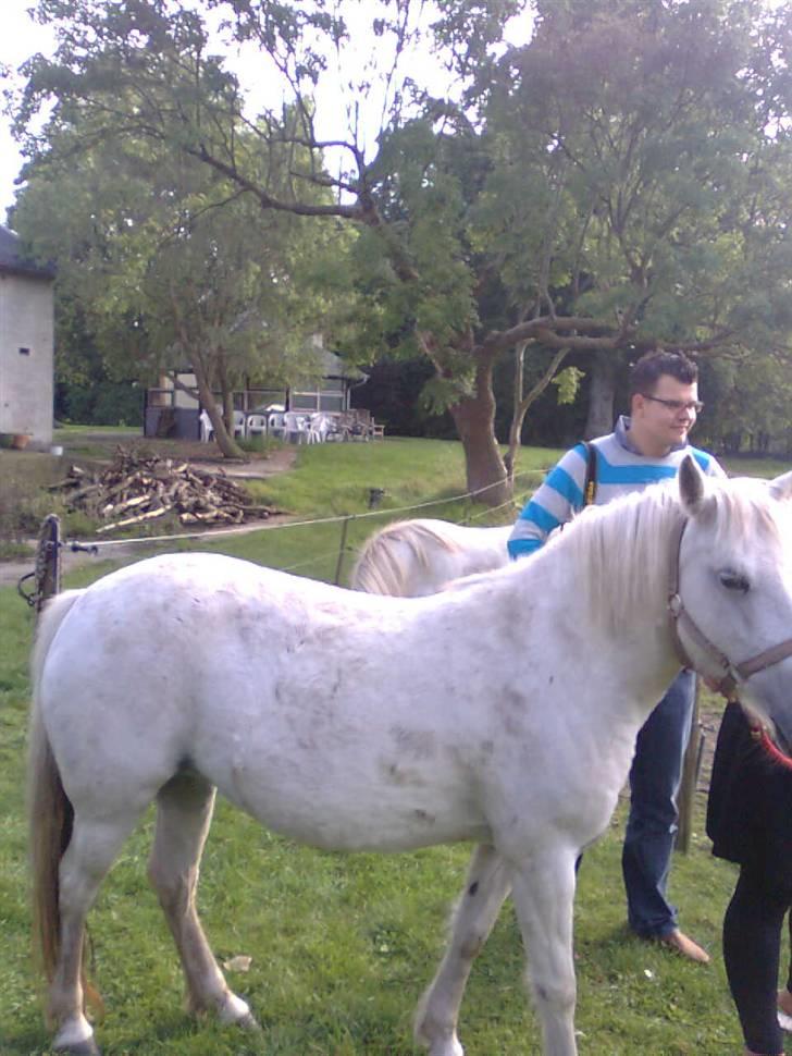 Anden særlig race Zafir : D - Uhhh, jeg er beskidt :/ billede 7