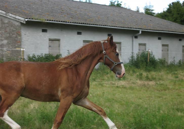 Frederiksborg Engkildegaards Argon  - Mig og Moon igen. Er vi ikke bare noget af det sødeste du nogensinde har set? Vi er i hvert fald nogle af de lækreste ikke? billede 19