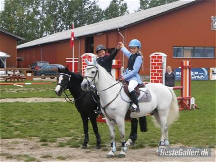 Anden særlig race Bum-Bum  *SOLGT* - Bum og Ipse til solrød:-D billede 11