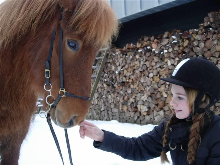 Islænder Funi F. Lykkesholm - #8 Søde isbamse og jeg, vi red helt hjem hvor fotografen stod og ventede på os (mor) Foto: Mor billede 8