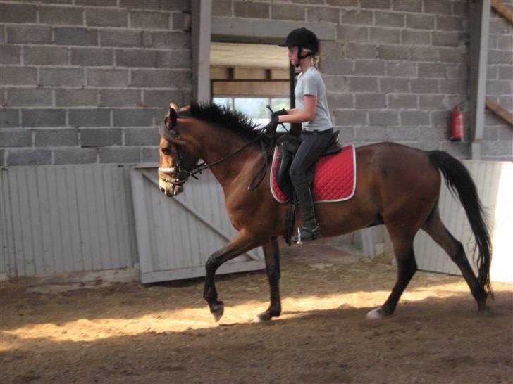 DSP Bay Runner (gammel part)= - er midt i et anspring billede 2