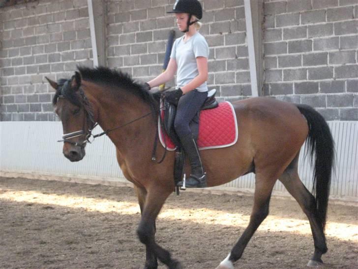 DSP Bay Runner (gammel part)= - vender fint ind over midten.. billede 3